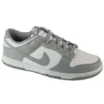 Nike Dunk Low Retro HF5441-105 skor