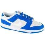 Nike Dunk Low M FN3416-001 skor