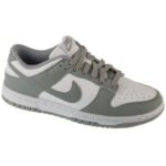 Nike Dunk Low NN W DD1873-113 skor